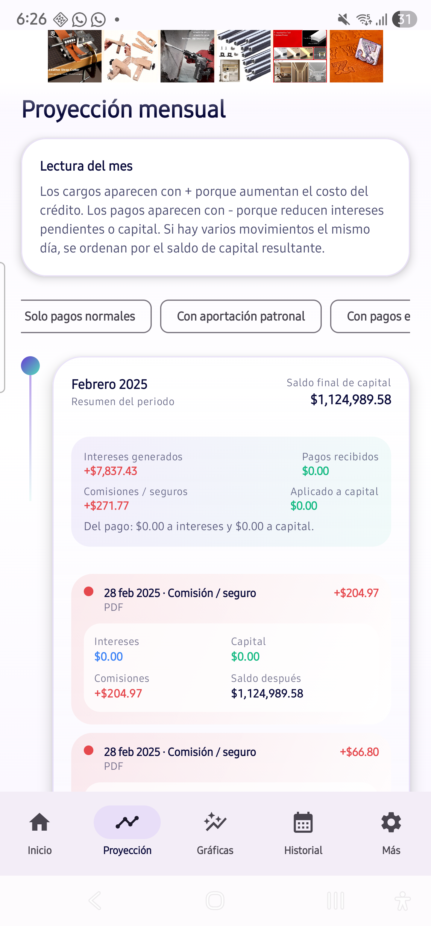 Pantalla de proyeccion mensual